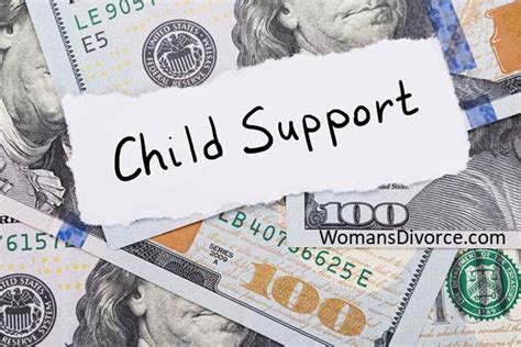 scsdu south carolina|For More Information Child Support Payment Options for Non .